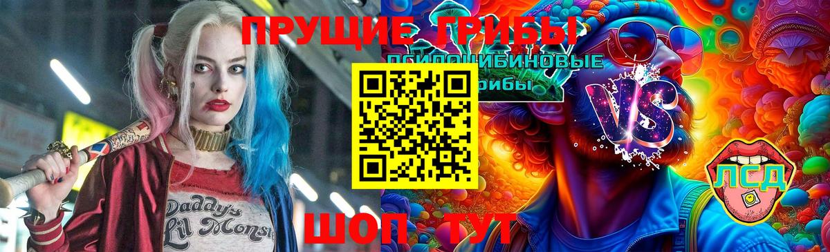 Галлюциногенные грибы мицелий  Галлюциногенные грибы ЛСД  Вход с VPN  Куйбышев 